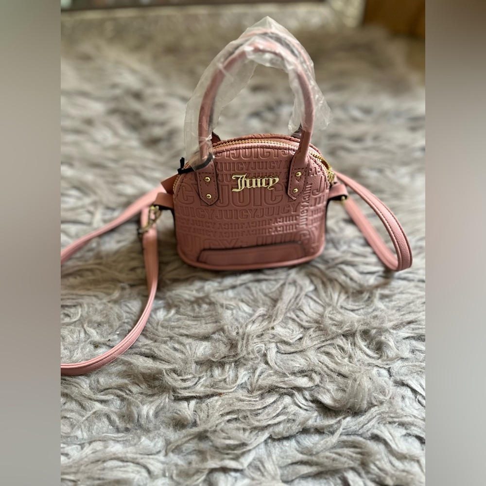 Blush Mini Dome Crossbody Purse